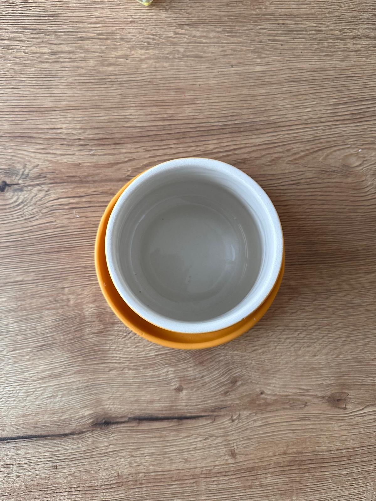 Minimal Seramik Saksı